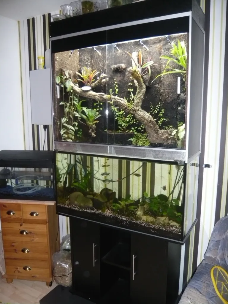 Verkaufe Aquaterrarium ( Paludarium )