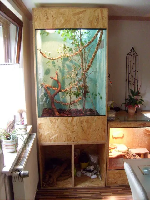 Großes selbstgebautes Hochterrarium (z.B. Chamäleon oder Schlange)