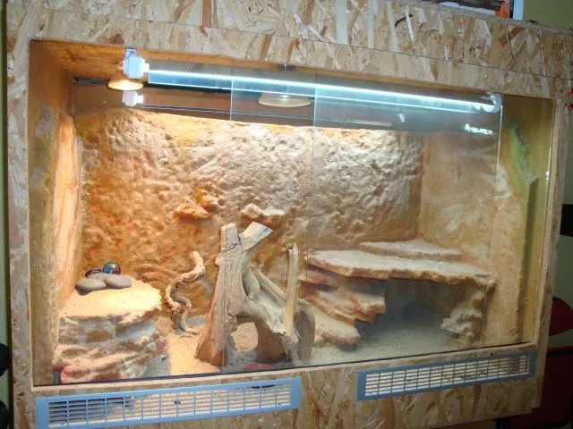 Zwergbartagame + Terrarium + Zubehör