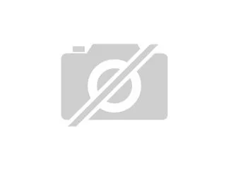 Pantherchamäleon Nosy Be sucht neues Zuhause