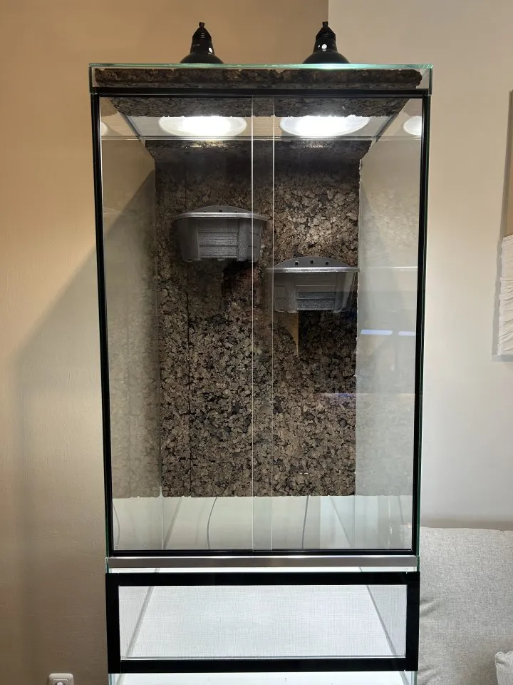 Terrarium 120x50x60 wie neu Chamäleon
