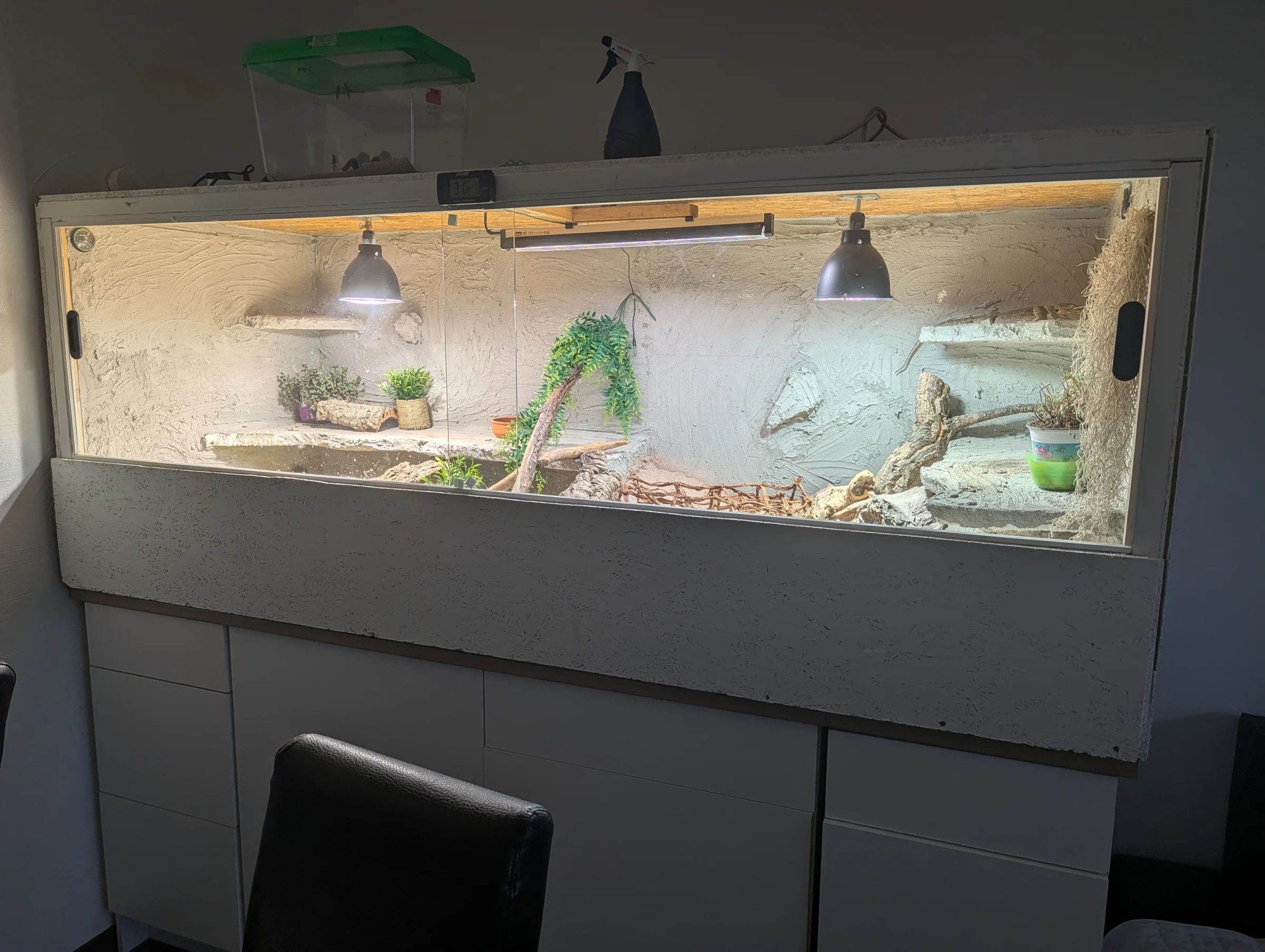 Bartagame + Terrarium+ Zubehör und Technik