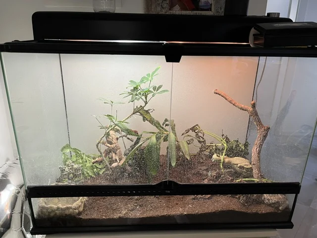 Terrarium