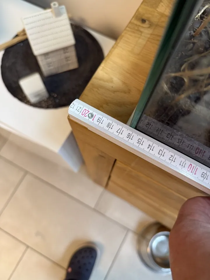 3 Kronen Gekos incl Terrarium