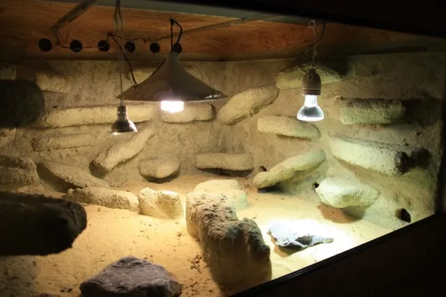 Terarium 1mX1mX0,62m
